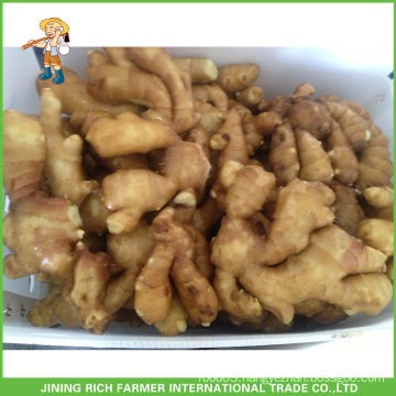 Wholesale 200g New Ginger Root With GAP